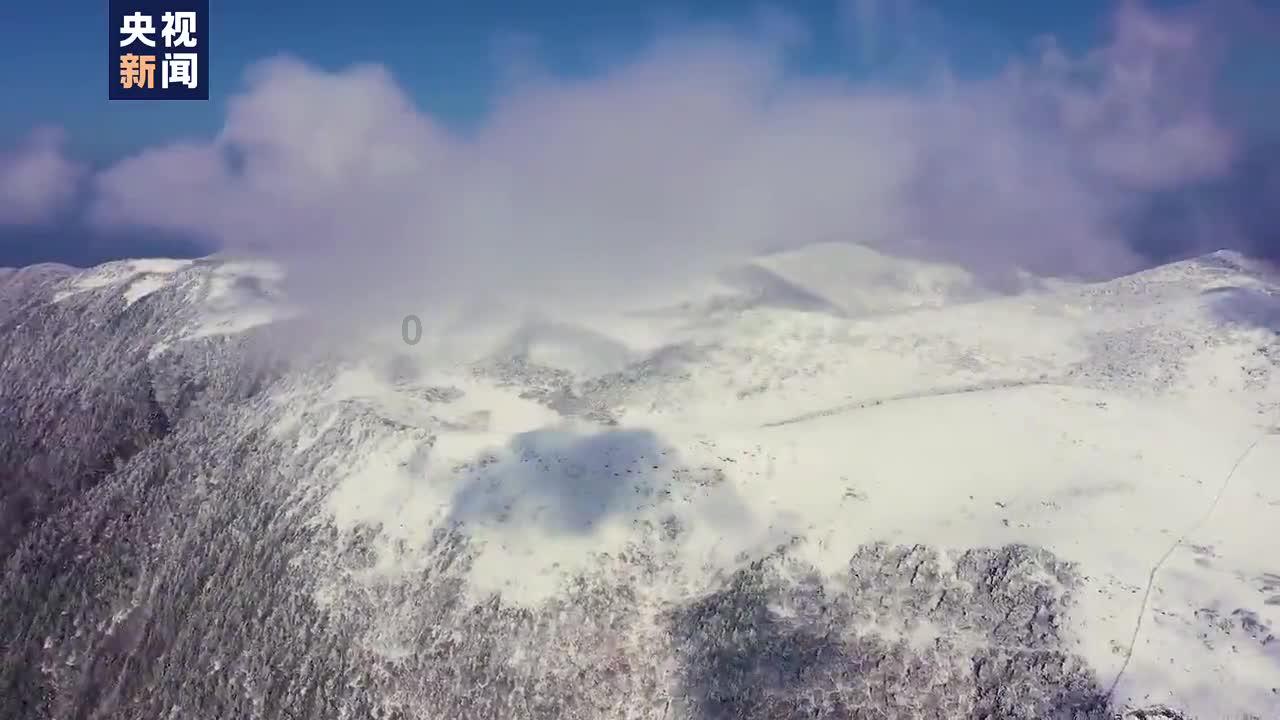 动物帮帮忙保卫家园
